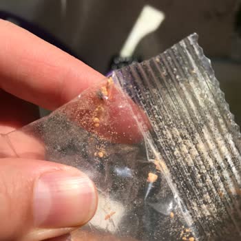 Bebek Tarhanasında Böcek Şoku