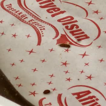 Zeytinde Böcek Şoku: Tüketici Mağduriyeti