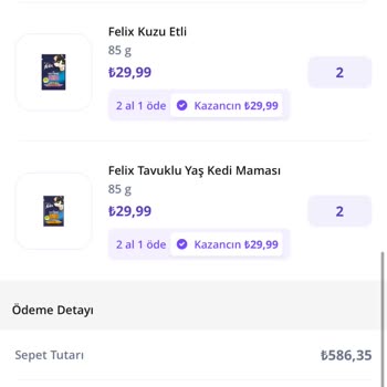 Bozuk Mama Nedeniyle Zehirlenen Kedi