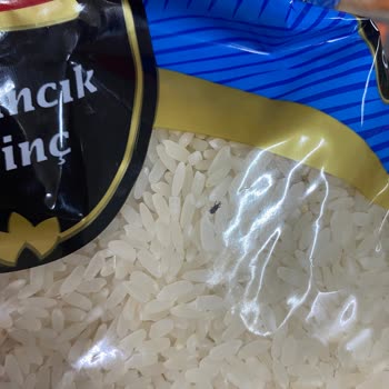 Hakmar'da Böcekli Pirinç Şoku