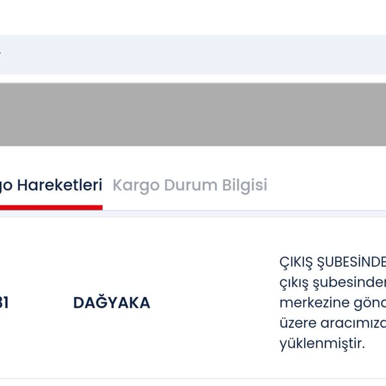 Kargom Neden Hareketsiz?