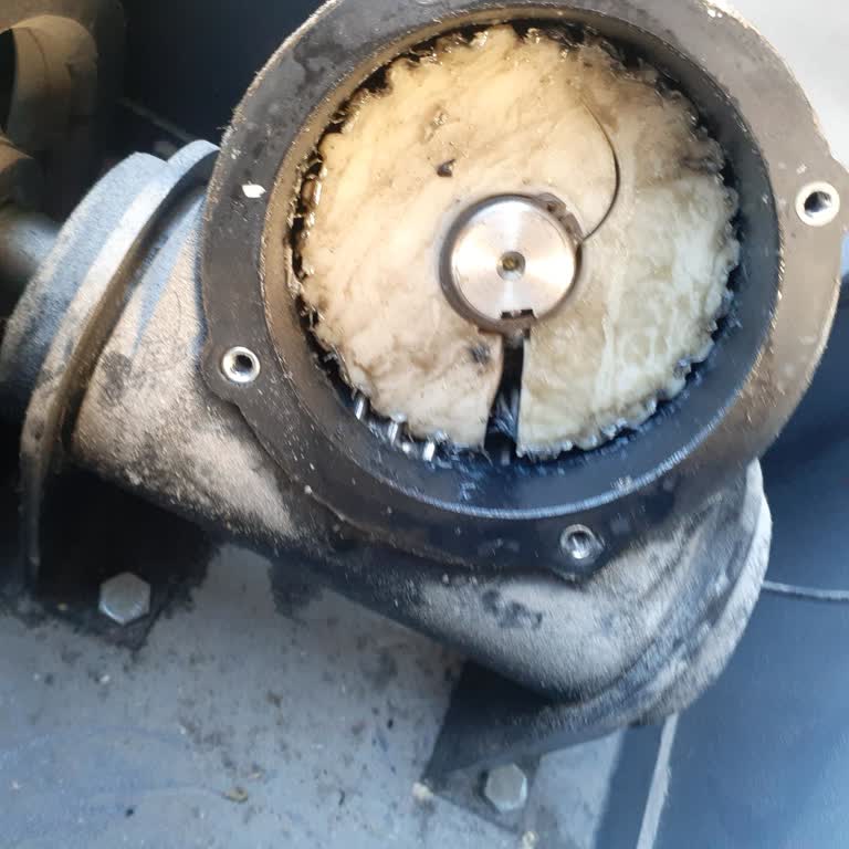 Osimo Makinesi Dişli Sorunu Ve Garanti Mağduriyeti