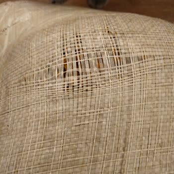 İdefix Kedi Maması Teslimatında Yırtık Paket Sorunu