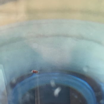 Danone Hayat İçecek Damacanalarında Hijyen Sorunu