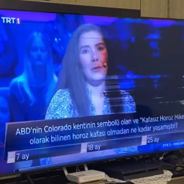 Samsung TV'nin Sürekli Ekran Sorunları