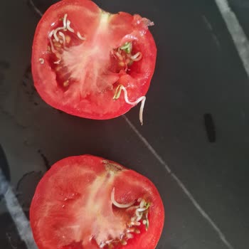 Denetimsiz Ürünler Sağlığımızı Tehdit Ediyor