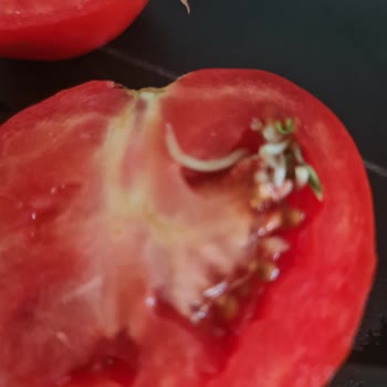 Denetimsiz Ürünler Sağlığımızı Tehdit Ediyor