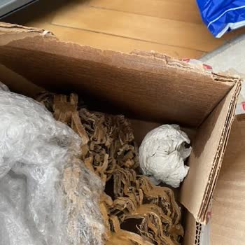 Oda Kokusu Fiyaskosu: English Home'dan Hayal Kırıklığı