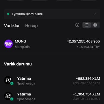 Kayıp Coinler: Birikimim Buhar Oldu!