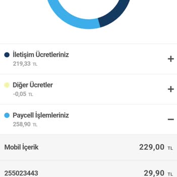 Turkcell Ve Paycell Üzerinden Haksız Kazanç Ve Güvenlik Açığı