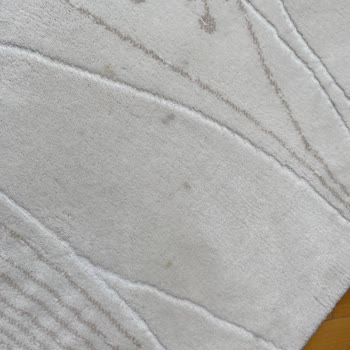 Halı Yıkama Hizmetinde Lekeler Çıkmadı Ve Saygısızlık Yaşadım