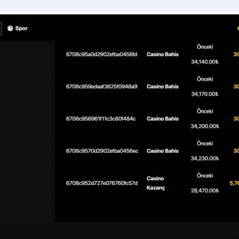 Trwin Güvenilir Sandığım Sitede Büyük Kayıp