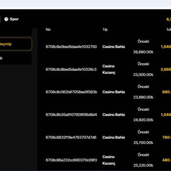 Trwin Güvenilir Sandığım Sitede Büyük Kayıp