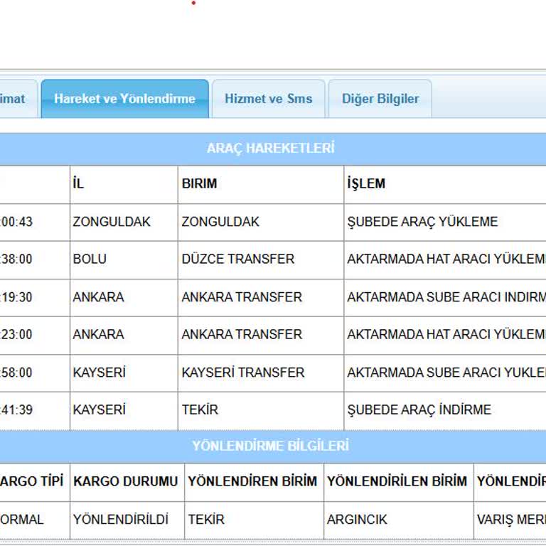 Kayıp Kargo: Müşteriye Teslimat Sorunu