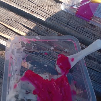 Küflü Ürün Şoku: Paramı Geri İstiyorum