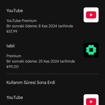 Ödediğim Premium Üyelikle İçeriklere Erişemiyorum!