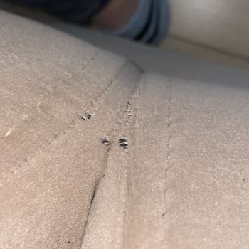 Arıkan Mobilya Koltuk Kaplama Şikayeti!