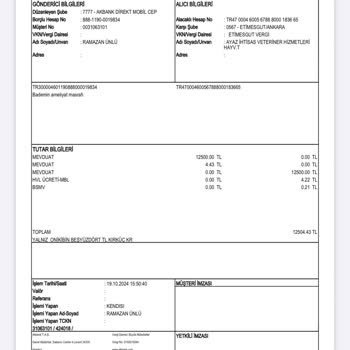 Veteriner Müdahalesi Sonrası Kedimizin Kaybı
