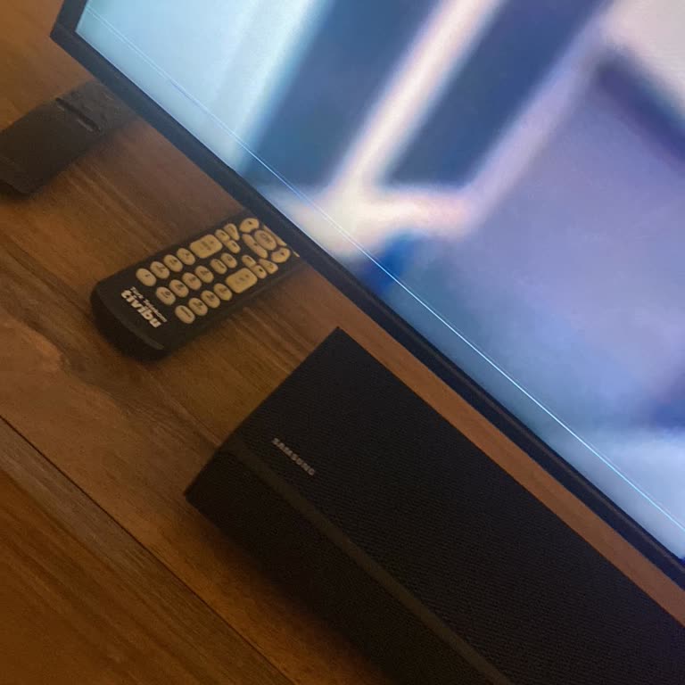 Samsung Televizyonumda Panel Sorunu Ve Yüksek Servis Ücreti