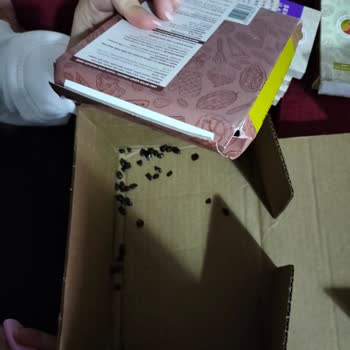 Kırık Çikolata Paketi: Siparişimdeki Hayal Kırıklığı