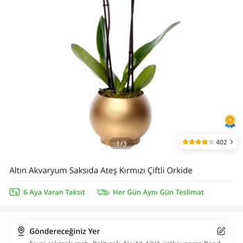 Orkide Siparişi Hayal Kırıklığı: Yoğurt Kabında Gelen Saksı