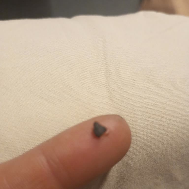 Zirve Tarım Kibarzade Çikolatalı Kestane Şekeri Hayal Kırıklığı