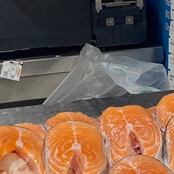 Migros'ta Hijyen Skandalı: Böceklerle Dolup Taşan Balık Tezgahı