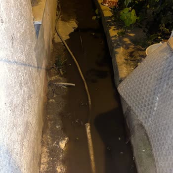 Tuzla'da Süregelen Kötü Koku Sorunu Ve İSKİ'nin İlgisizliği