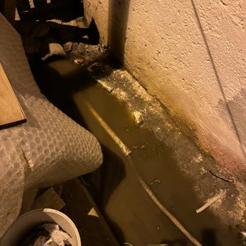 Tuzla'da Süregelen Kötü Koku Sorunu Ve İSKİ'nin İlgisizliği