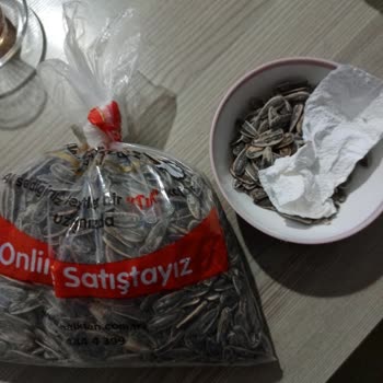 Çekirdek Keyfi Kurtla Bozuldu