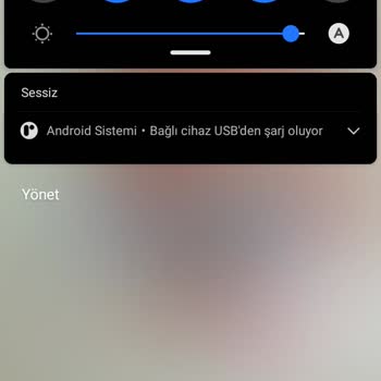 USB Bağlantı Sorunu: Dosya Aktarımı Yapılamıyor