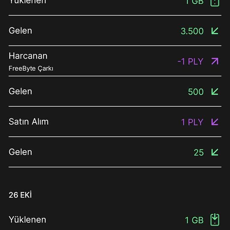 Hesap Erişim Sorunu Ve Kayıp Kodlar