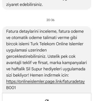 Mobil Ödeme Ve Giriş Sorunu