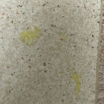 Bozuk Mama Nedeniyle Yaşanan Sağlık Sorunları