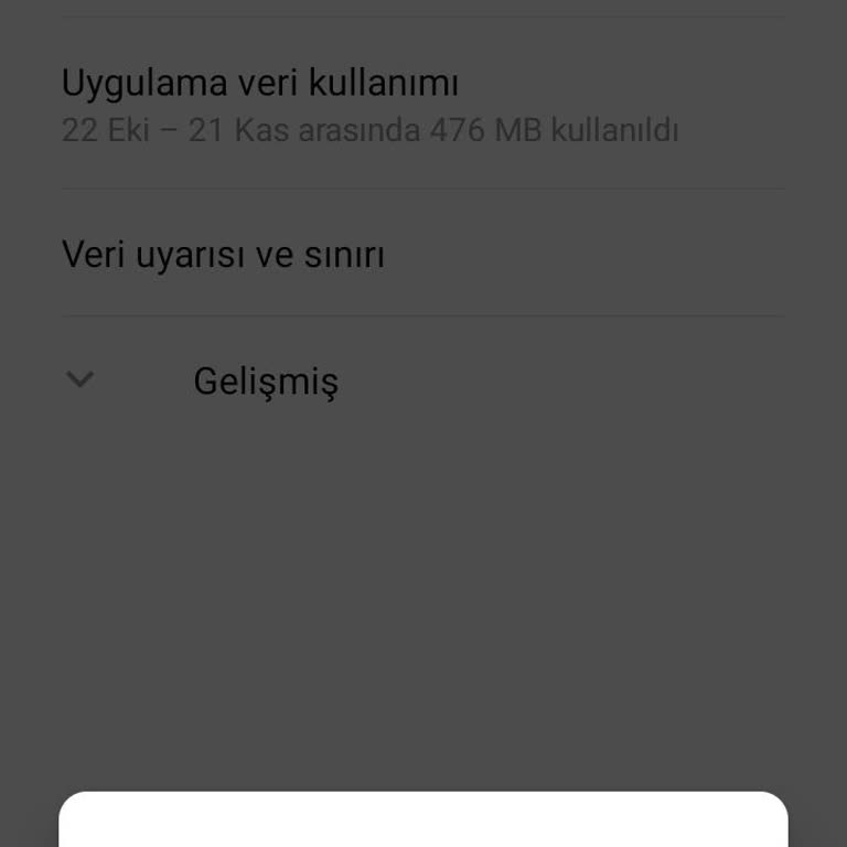 Yurt Dışı İnternet Paketi Mağduriyeti Ve Operatör Karışıklığı