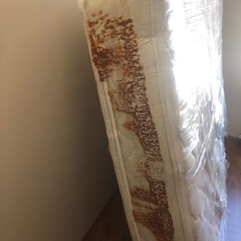 Taşınma Kabusu: Ekstra Ücret Ve Hasarlı Eşyalar