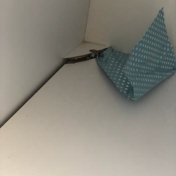 Taşınma Kabusu: Ekstra Ücret Ve Hasarlı Eşyalar