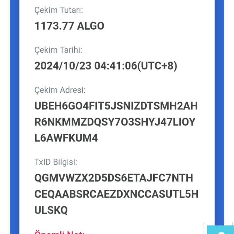 BTC Türk Kripto Borsasında Geciken Transfer Sorunu