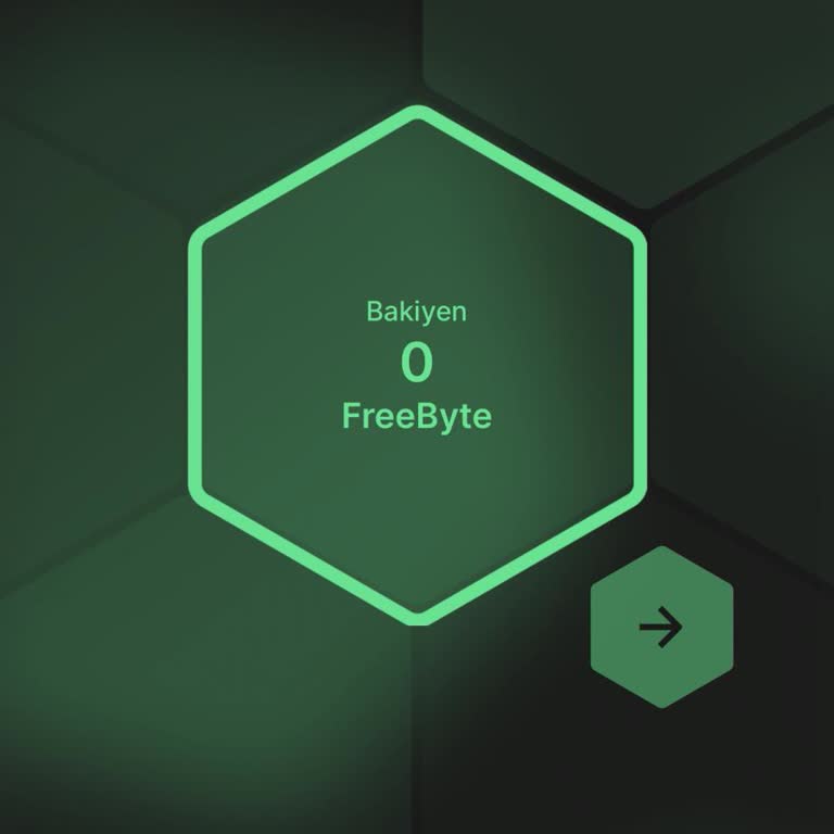 Puanlarım Neden Sıfırlandı?