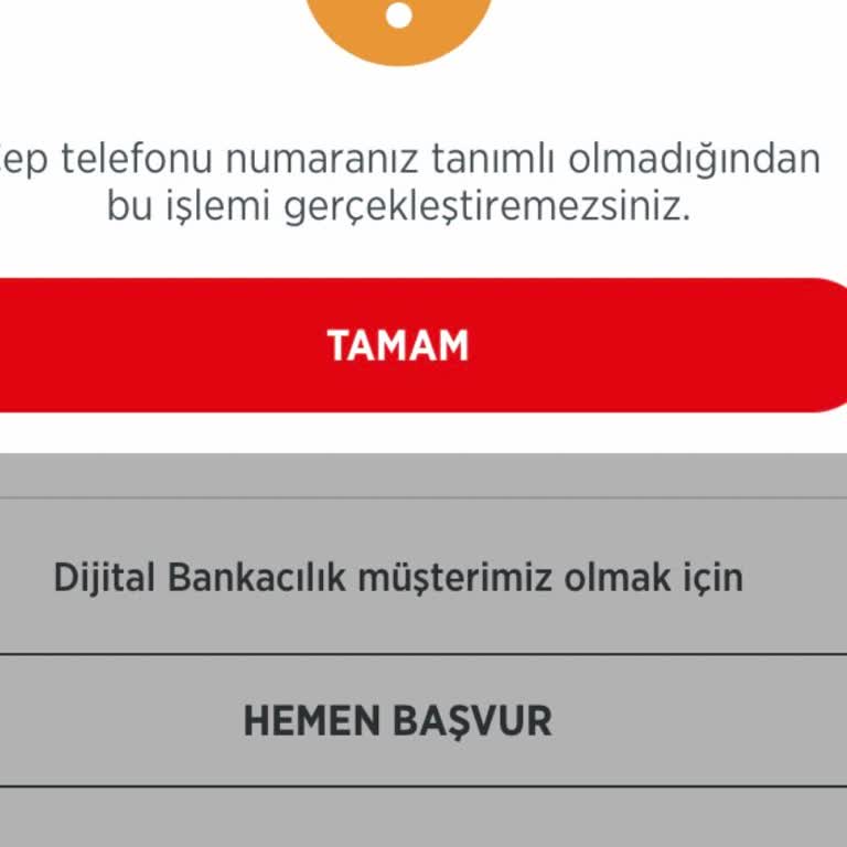 Mobil Bankacılık Erişim Sorunu Ve Güvenlik Endişesi