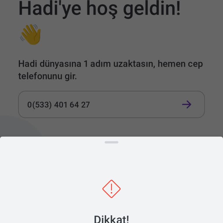 Hadi Uygulamasına Giriş Sorunu
