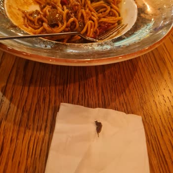 Ganache Patisserie Altunizade Şikayeti