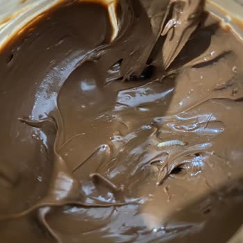 Güvenilir Sandığımız Torku Çikolatada Kurt Şoku!