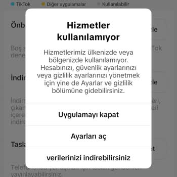 TikTok Hizmet Kesintisi Sorunu