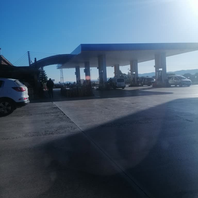 Opet'te Word Puanlarım Neden Yansıtılmadı?