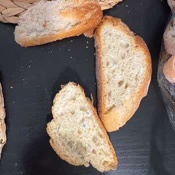 Küflü Ekmekle Karşılaşmak