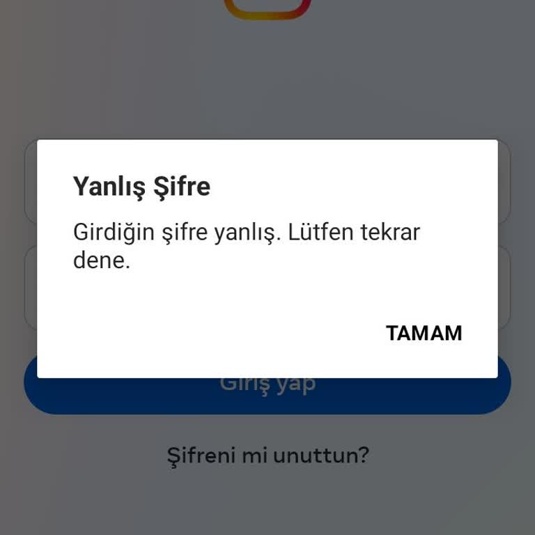 Instagram Şifre Değişikliği Sonrası Giriş Sorunu