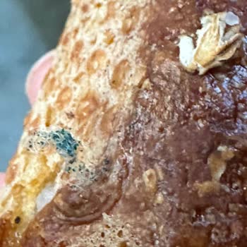 Sandviçten Çıkan Bulaşık Süngeri Ve Eksik İade Şoku