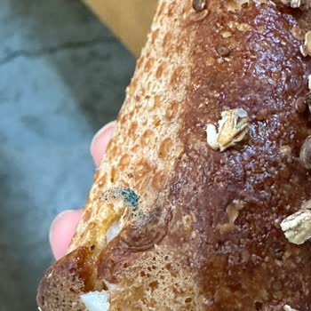 Sandviçten Çıkan Bulaşık Süngeri Ve Eksik İade Şoku