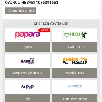 Para Transferinde Gecikme Ve Yetersiz Destek
